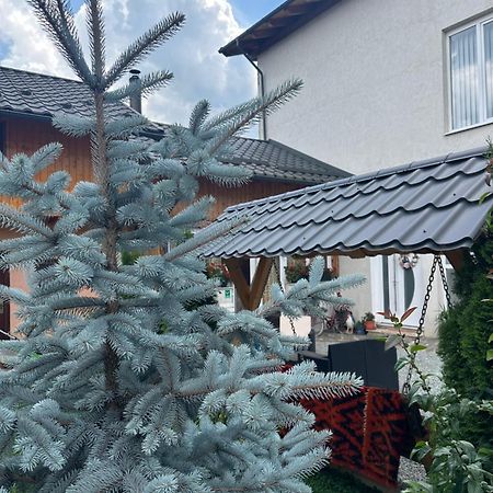 Pensiunea Alexandra Livia Borşa Exterior foto